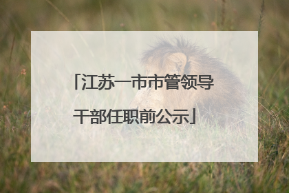 江苏一市市管领导干部任职前公示