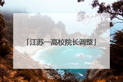 江苏一高校院长调整