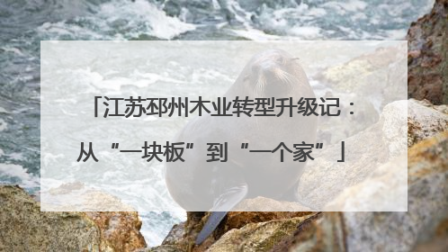 江苏邳州木业转型升级记：从“一块板”到“一个家”