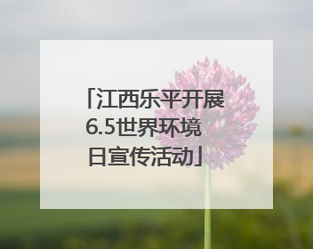 江西乐平开展6.5世界环境日宣传活动