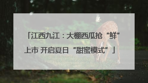 江西九江：大棚西瓜抢“鲜”上市 开启夏日“甜蜜模式”