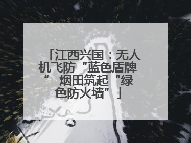 江西兴国：无人机飞防“蓝色盾牌” 烟田筑起“绿色防火墙”