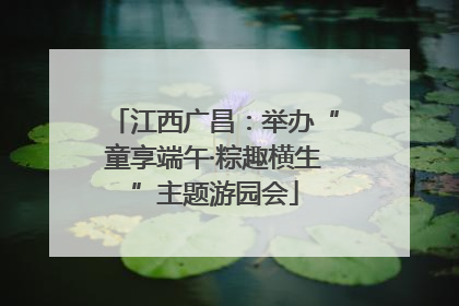 江西广昌：举办“童享端午·粽趣横生”主题游园会
