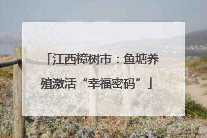 江西樟树市：鱼塘养殖激活“幸福密码”