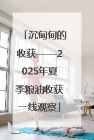沉甸甸的收获——2025年夏季粮油收获一线观察