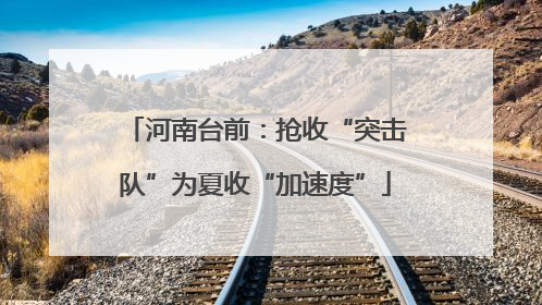 河南台前：抢收“突击队”为夏收“加速度”