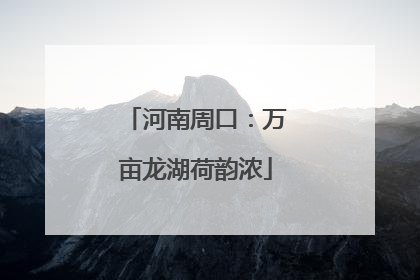 河南周口：万亩龙湖荷韵浓