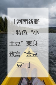 河南新野：特色“小土豆”变身致富“金豆豆”
