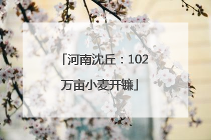 河南沈丘：102 万亩小麦开镰