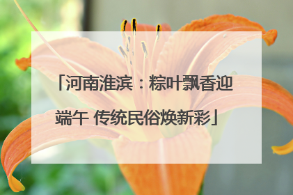 河南淮滨：粽叶飘香迎端午 传统民俗焕新彩