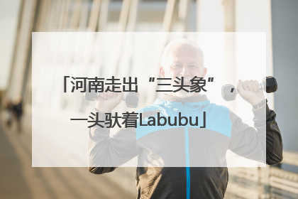 河南走出“三头象”，一头驮着Labubu