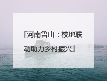 河南鲁山：校地联动助力乡村振兴