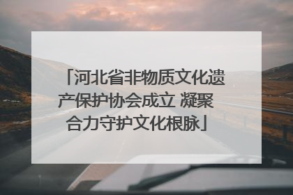 河北省非物质文化遗产保护协会成立 凝聚合力守护文化根脉