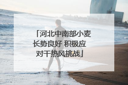 河北中南部小麦长势良好 积极应对干热风挑战