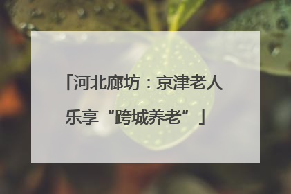 河北廊坊：京津老人乐享“跨城养老”