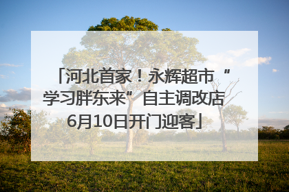 河北首家！永辉超市“学习胖东来”自主调改店6月10日开门迎客