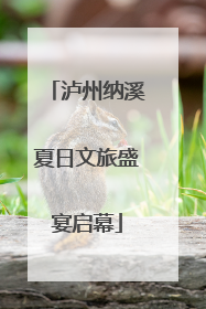 泸州纳溪夏日文旅盛宴启幕