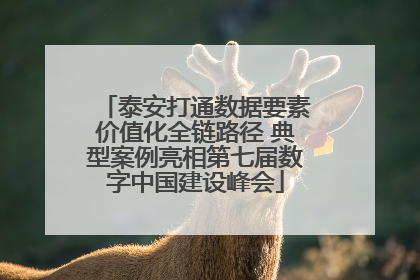 泰安打通数据要素价值化全链路径 典型案例亮相第七届数字中国建设峰会