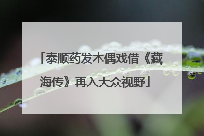 泰顺药发木偶戏借《藏海传》再入大众视野