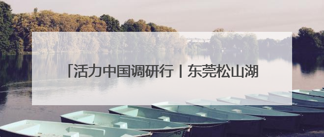 活力中国调研行丨东莞松山湖：荔枝园里长出来的科学城