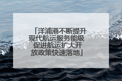 洋浦港不断提升现代航运服务能级 促进航运扩大开放政策快速落地