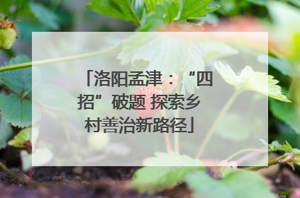 洛阳孟津：“四招”破题 探索乡村善治新路径