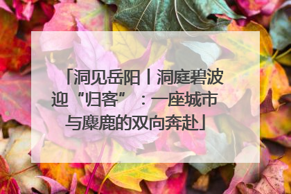 洞见岳阳丨洞庭碧波迎“归客”：一座城市与麋鹿的双向奔赴
