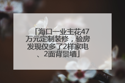 海口一业主花47万元定制装修，验房发现仅多了2样家电、2面背景墙