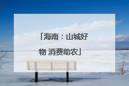 海南：山城好物 消费助农