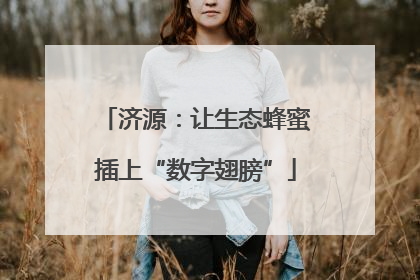 济源：让生态蜂蜜插上“数字翅膀”