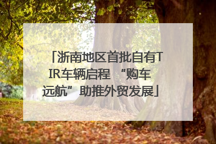 浙南地区首批自有TIR车辆启程 “购车远航”助推外贸发展