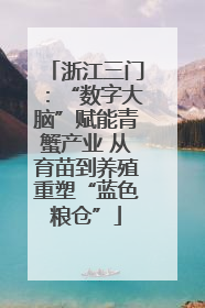 浙江三门：“数字大脑”赋能青蟹产业 从育苗到养殖重塑“蓝色粮仓”