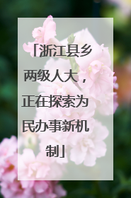 浙江县乡两级人大，正在探索为民办事新机制