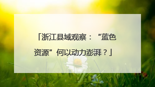 浙江县域观察：“蓝色资源”何以动力澎湃？