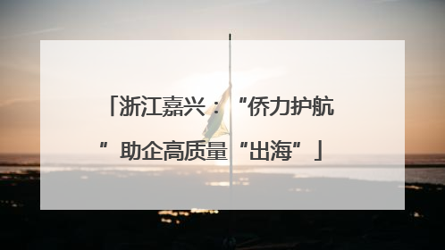 浙江嘉兴：“侨力护航”助企高质量“出海”