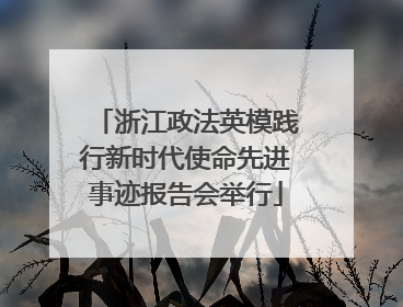 浙江政法英模践行新时代使命先进事迹报告会举行