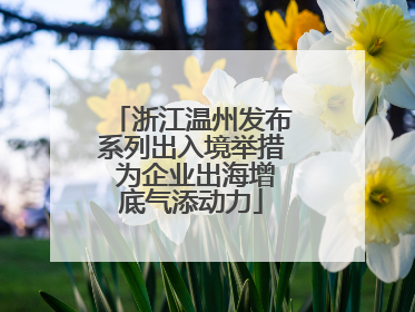 浙江温州发布系列出入境举措 为企业出海增底气添动力