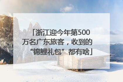 浙江迎今年第500万名广东旅客，收到的“锦鲤礼包”都有啥