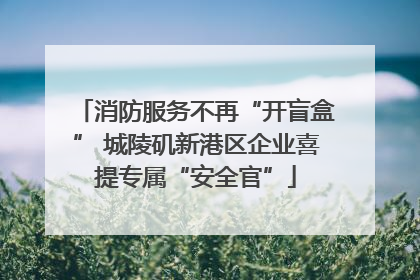 消防服务不再“开盲盒” 城陵矶新港区企业喜提专属“安全官”