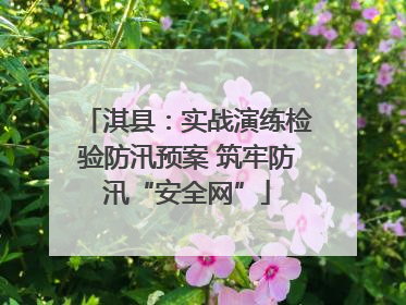 淇县：实战演练检验防汛预案 筑牢防汛“安全网”