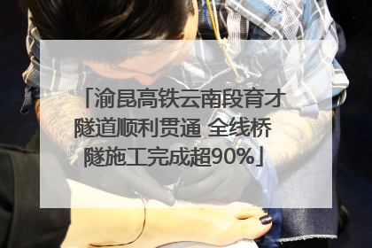 渝昆高铁云南段育才隧道顺利贯通 全线桥隧施工完成超90%