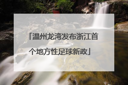 温州龙湾发布浙江首个地方性足球新政