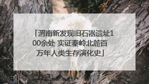 渭南新发现旧石器遗址100余处 实证秦岭北麓百万年人类生存演化史
