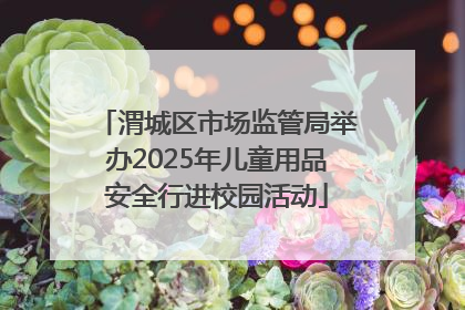 渭城区市场监管局举办2025年儿童用品安全行进校园活动