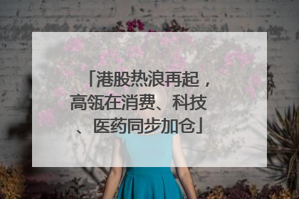 港股热浪再起，高瓴在消费、科技、医药同步加仓