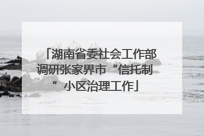 湖南省委社会工作部调研张家界市“信托制”小区治理工作