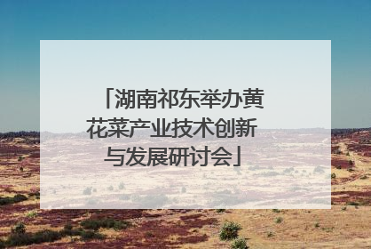 湖南祁东举办黄花菜产业技术创新与发展研讨会