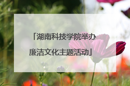 湖南科技学院举办廉洁文化主题活动