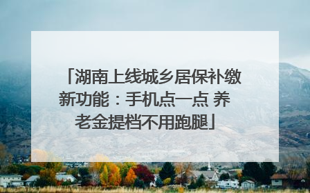 湖南上线城乡居保补缴新功能：手机点一点 养老金提档不用跑腿