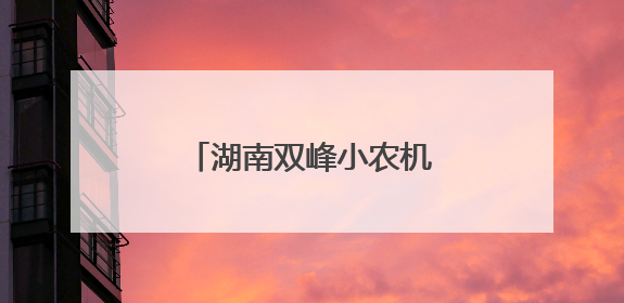 湖南双峰小农机畅销非洲大陆